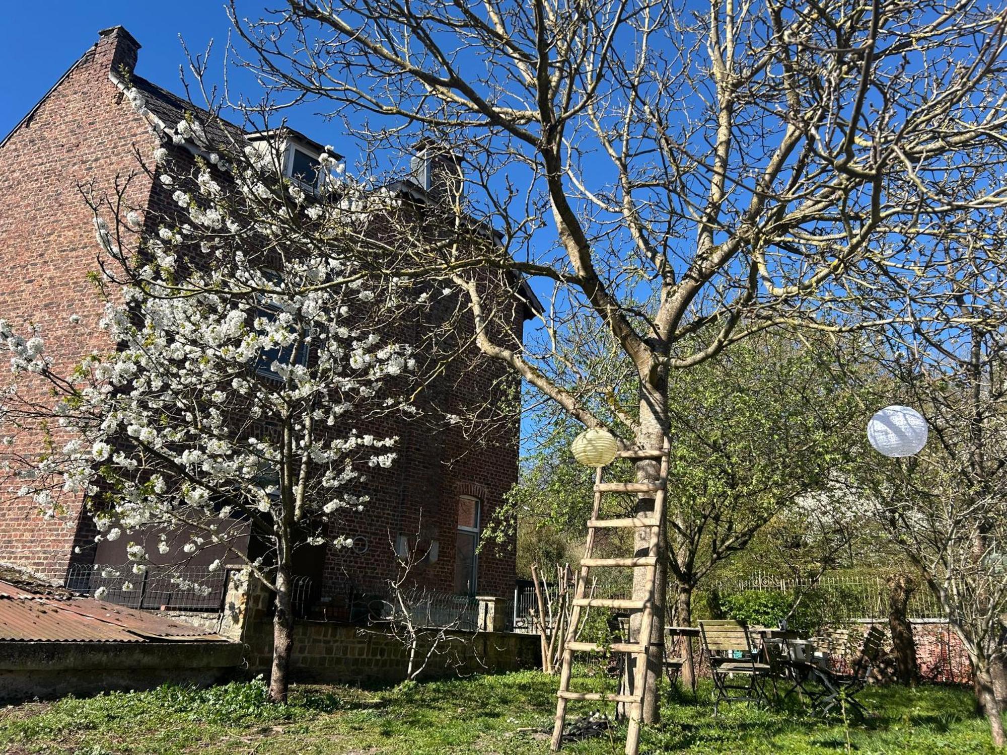 Apartmán 2Pas2Meuse Waulsort Exteriér fotografie